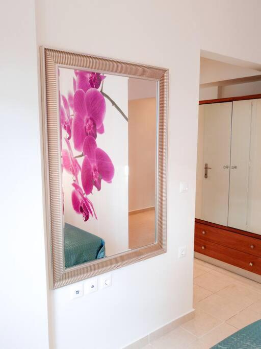Orchid Apartments Thérmi Rom bilde